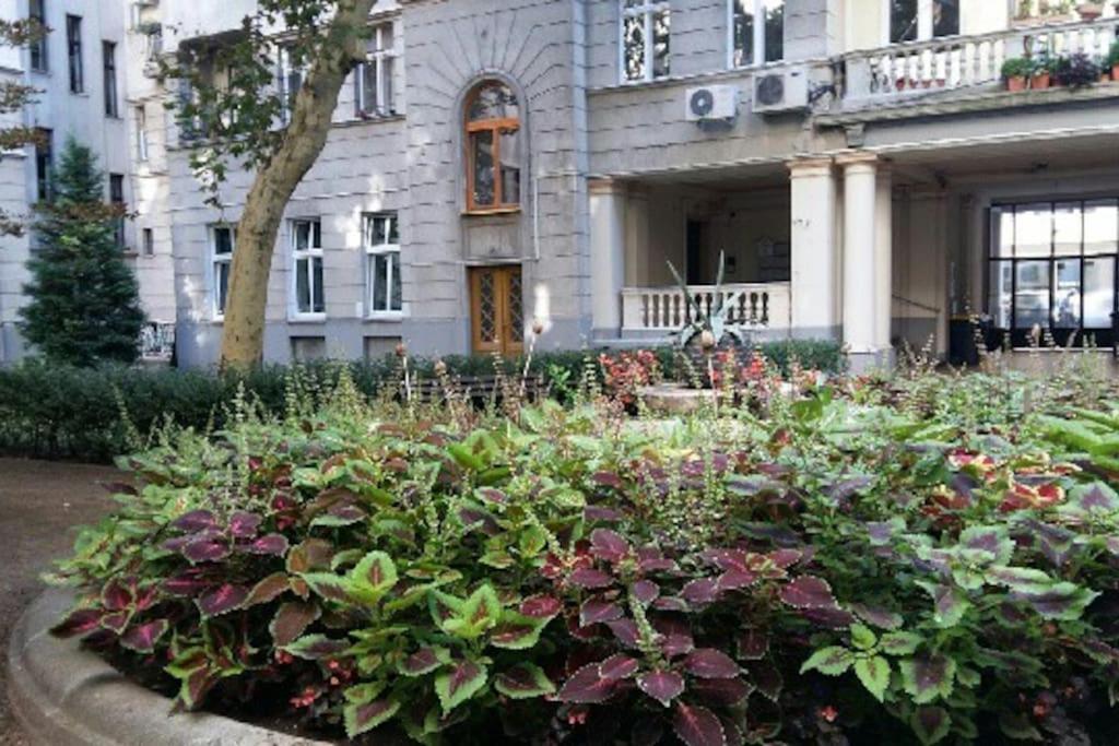 Gorgeous Flat Right Near The City Center Budapest Exterior foto